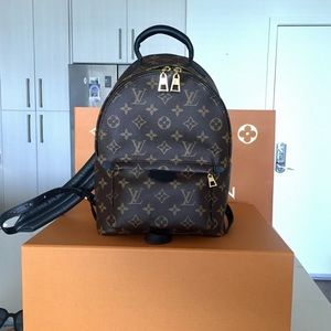 *RARE* LOUIS VUITTON Palm Springs Backpack PM